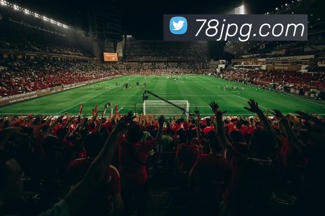 pg官网平台生态图